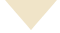 beige driehoekje